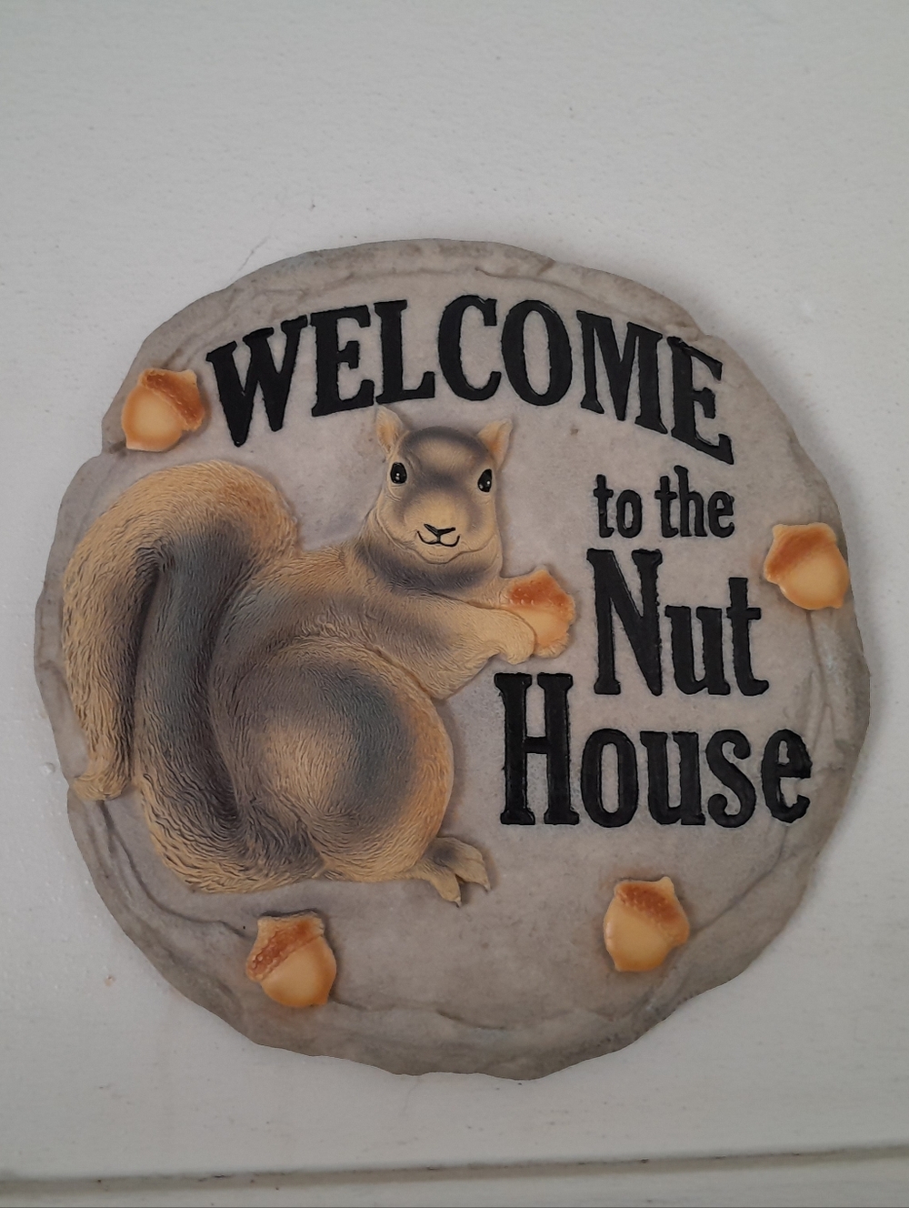 Welcome to the Nut House Squirrel Wall Plaque - Gray & Tan